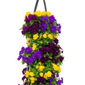 Wandhanger viool 'Fire mix' Wandhangers.nl