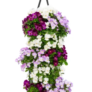 Wandhanger viool 'Pink mix' Wandhangers.nl