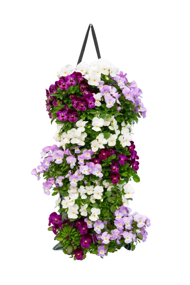 Wandhanger viool 'Pink mix' Wandhangers.nl