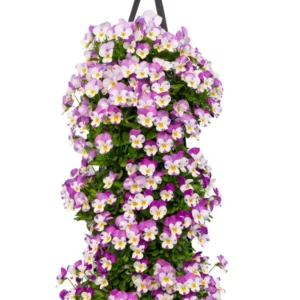 Wandhanger viool 'Rose Wing' Wandhangers.nl