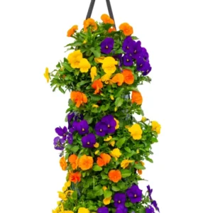 Wandhanger viool ´Tropical´ Wandhangers.nl