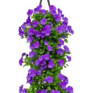 Wandhanger Viool 'True Blue' Wandhangers.nl