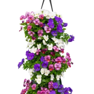 Wandhanger viool 'True Blue mix' Wandhangers.nl