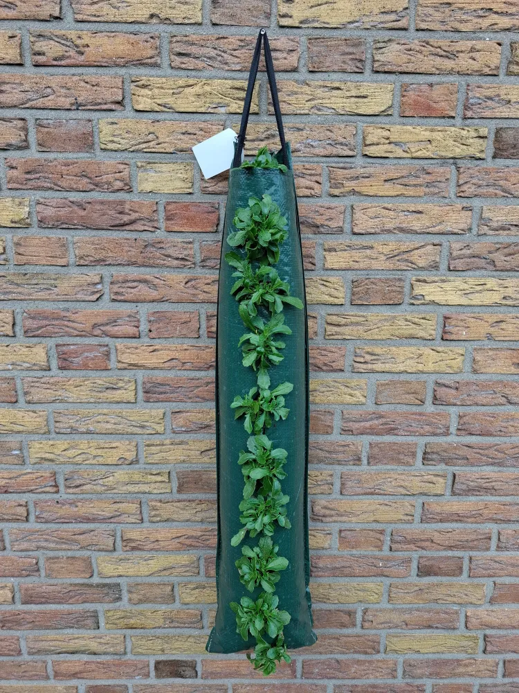 XL Wandhanger Wandhangers