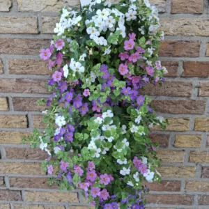 Wandhanger 'Bacopa mix' Wandhangers