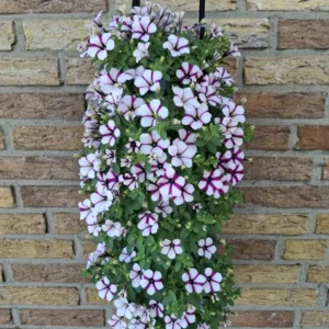Wandhanger 'Littletunia Cupcake' Wandhangers