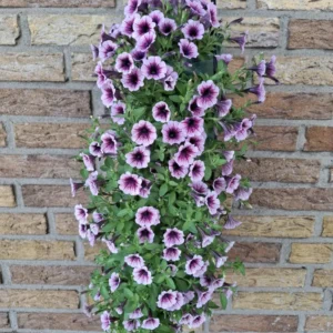 Wandhanger 'Littletunia Pink Splash' Wandhangers