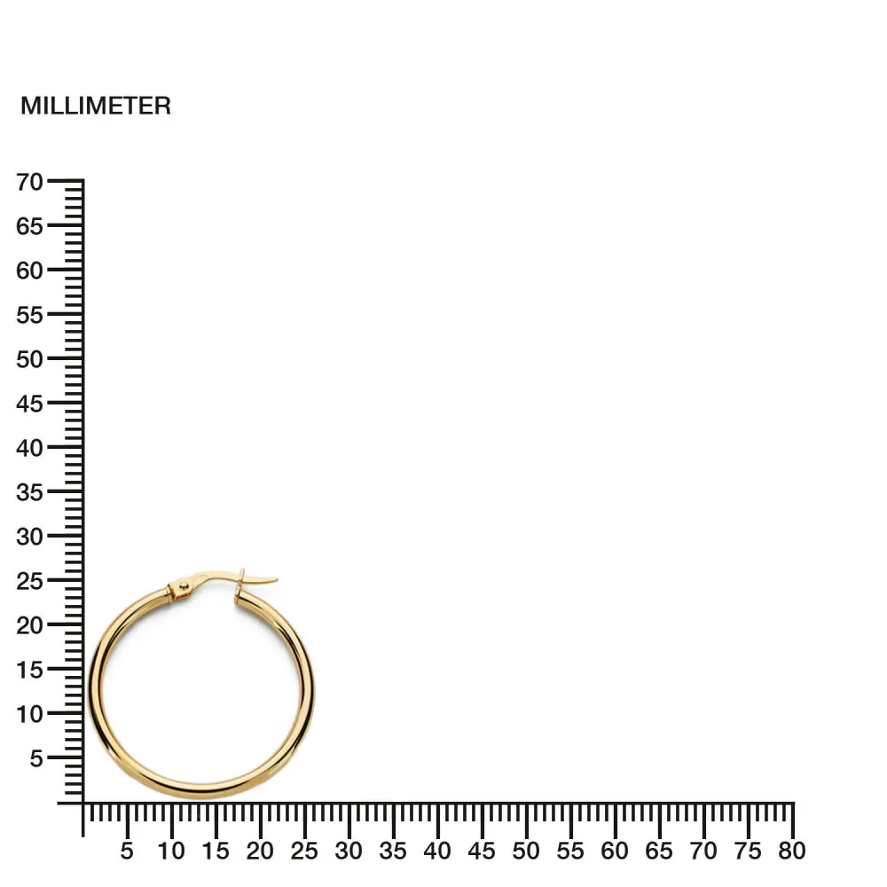 925 Sterling Zilver gold-plated Hoops shine earrings 24x2 mm