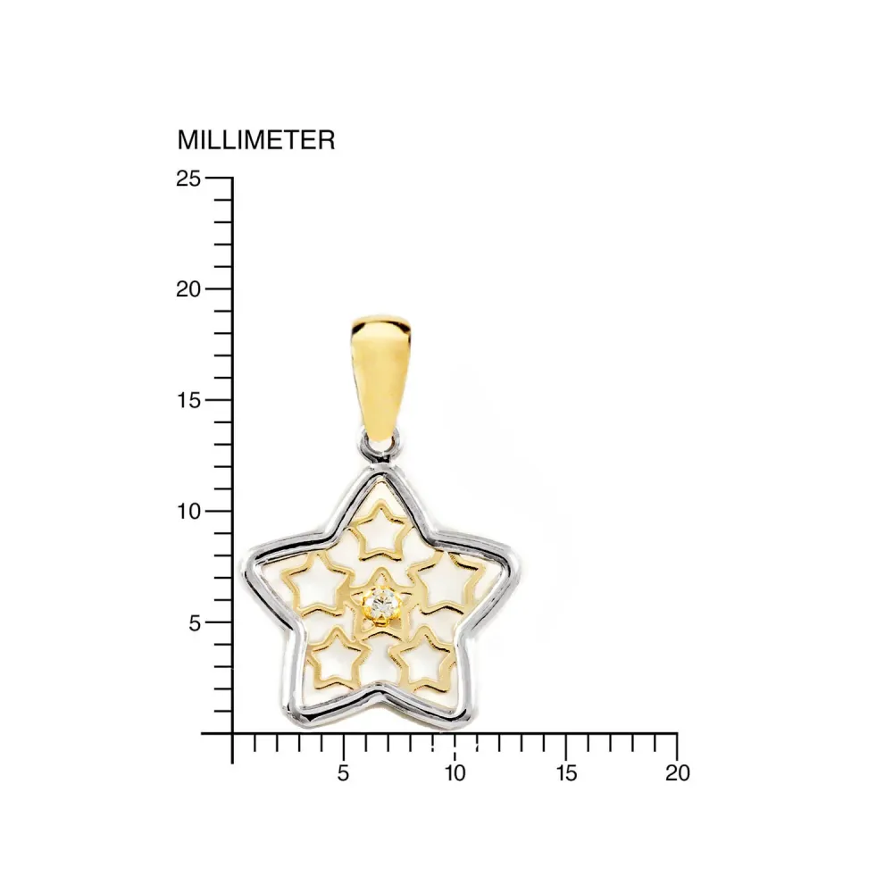9ct two color gouden Flower Cubic Zirconia pendant shine