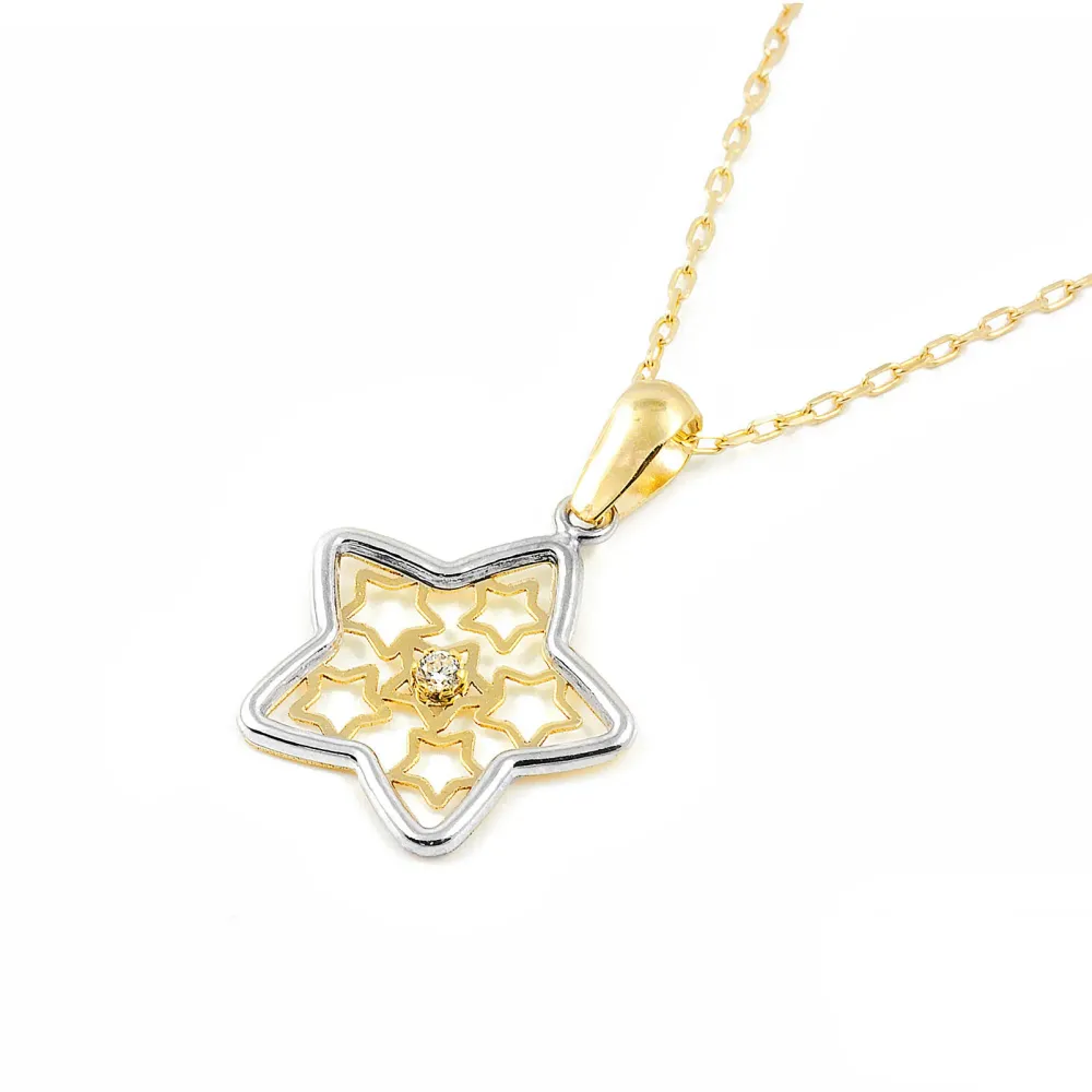 9ct two color gouden Flower Cubic Zirconia pendant shine