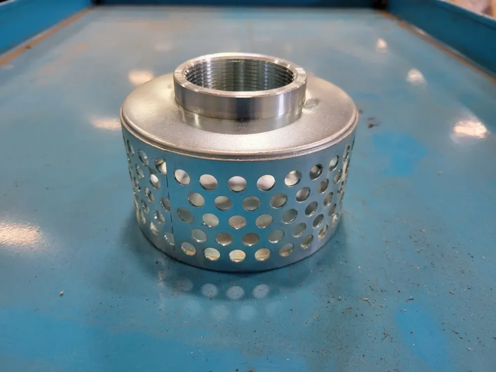 2" FPT Round Hole Rvs Strainer - Vervaardigd volgens DIN-norm