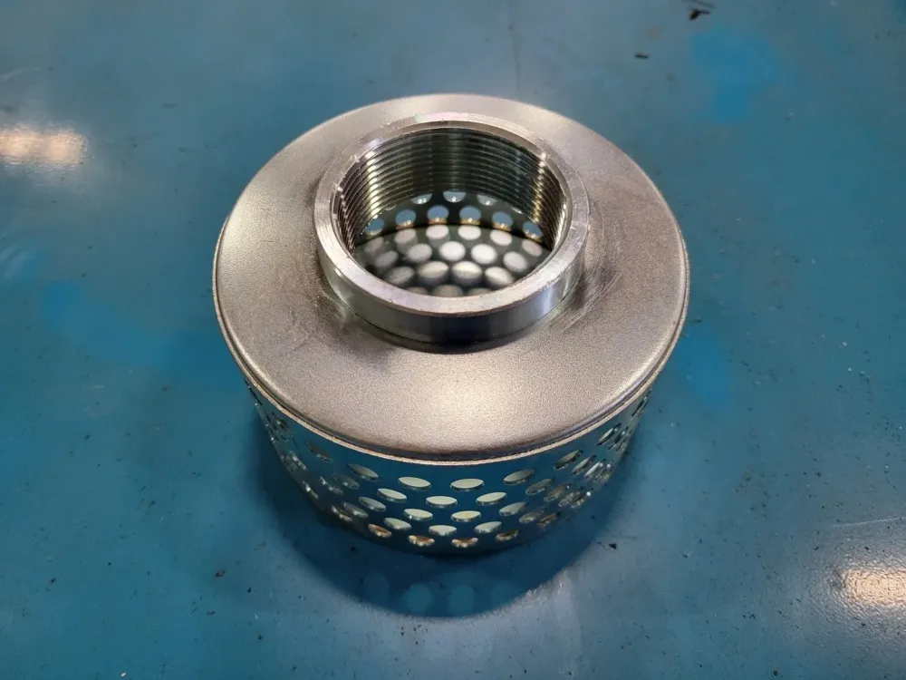 2" FPT Round Hole Rvs Strainer - Vervaardigd volgens DIN-norm