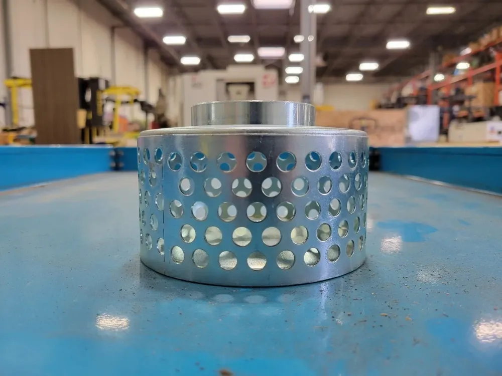2" FPT Round Hole Rvs Strainer - Vervaardigd volgens DIN-norm