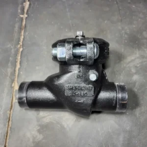 Gecertificeerd 2" Horizontal Swing Check Valve SJ-930