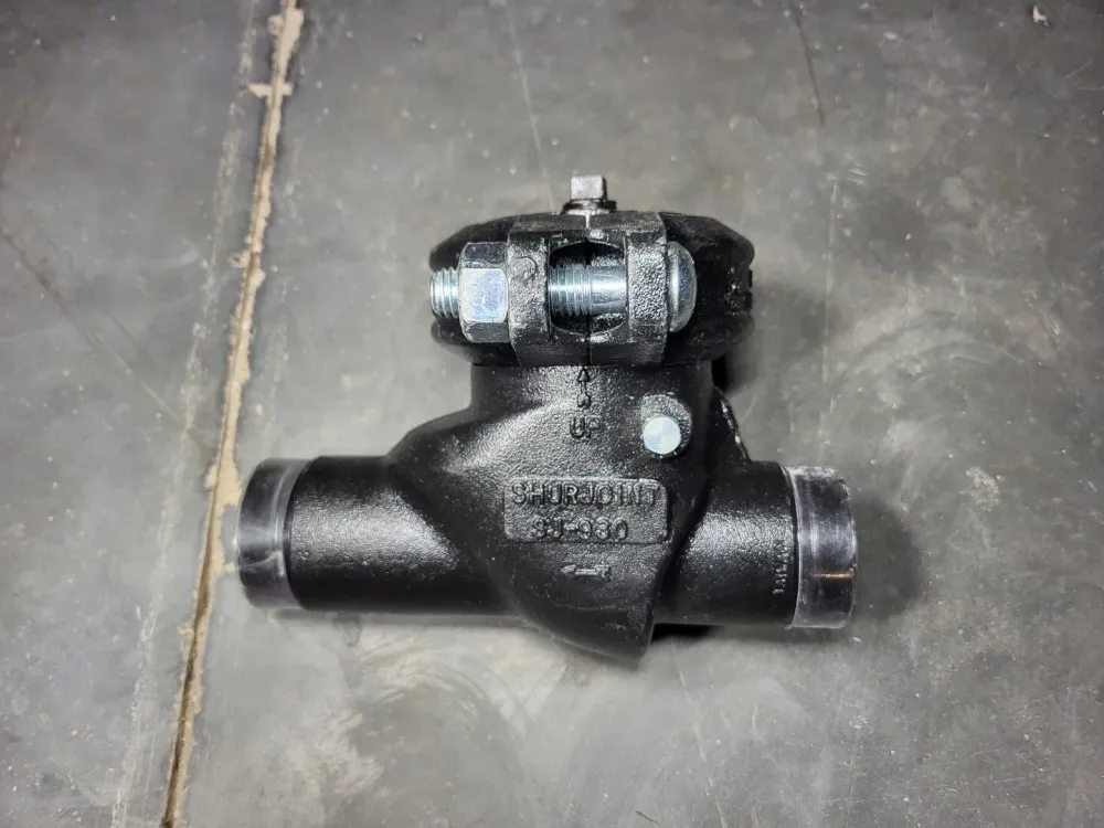 Gecertificeerd 2" Horizontal Swing Check Valve SJ-930