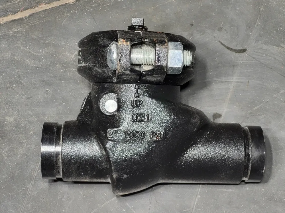 Gecertificeerd 2" Horizontal Swing Check Valve SJ-930