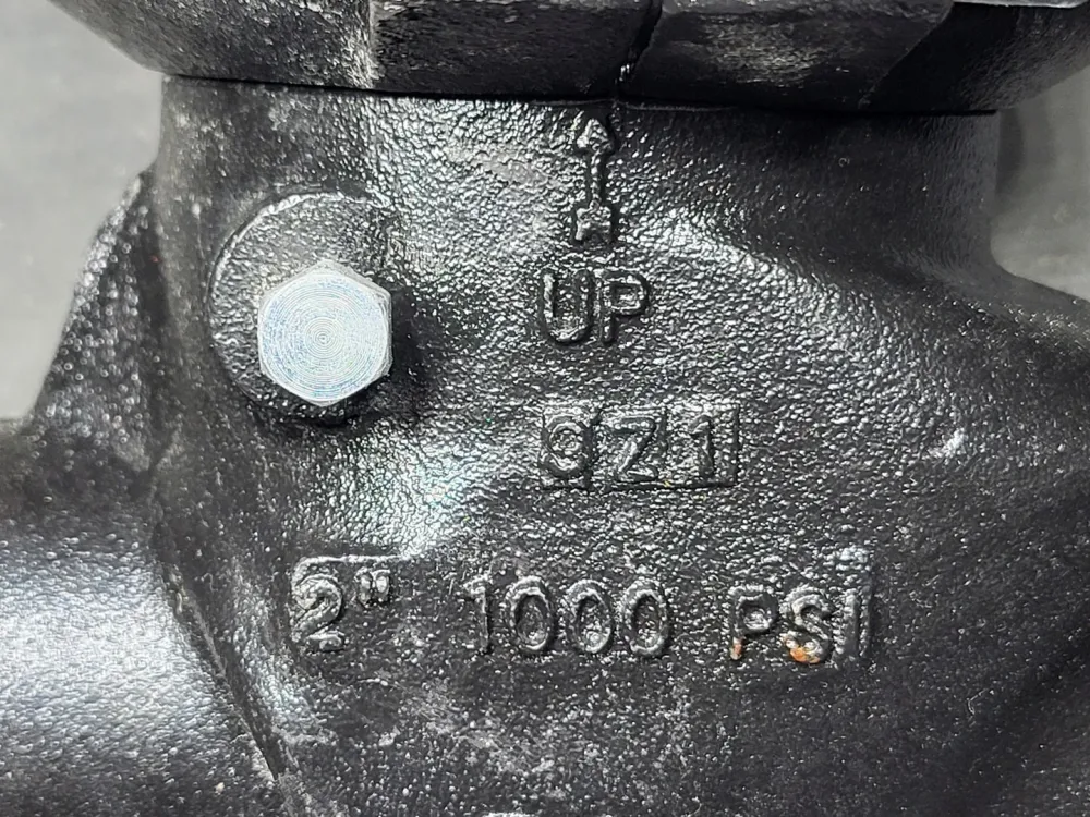 Gecertificeerd 2" Horizontal Swing Check Valve SJ-930