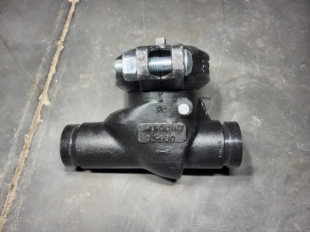 Gecertificeerd 2" Horizontal Swing Check Valve SJ-930