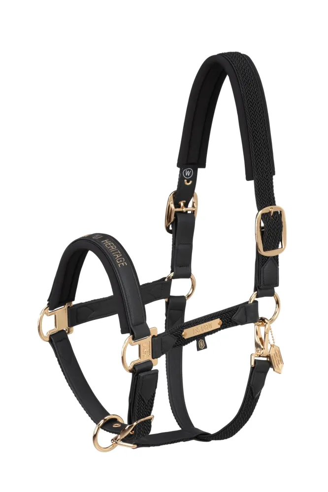 Heritage AW24 Faux Leather Double Pin Headcollar Softshell Ravenzwart X-Full