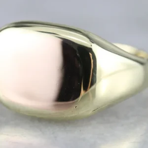 Men's Two Tone Goud Signet Ring met CE-Keurmerk
