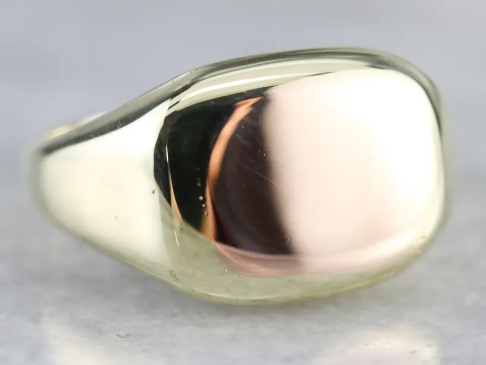 Roestvrij Staal Men's Two Tone Goud Signet Ring