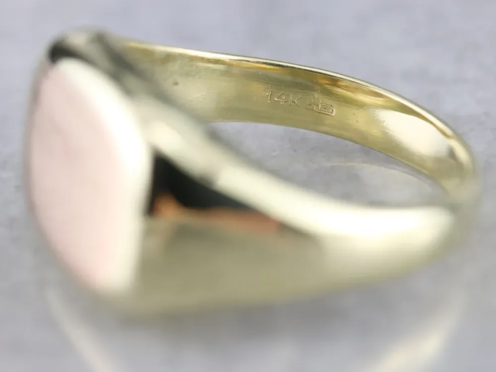 Roestvrij Staal Men's Two Tone Goud Signet Ring