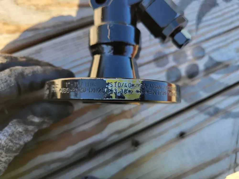 Steam Trap IS2 Connector R/L w/ Val 1" Class 150 RF Flange