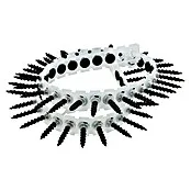 Gipsplaatschroef op band grof - Ø x l: 3,9 x 45 mm, 1.000 st. | DIN 7985 Norm