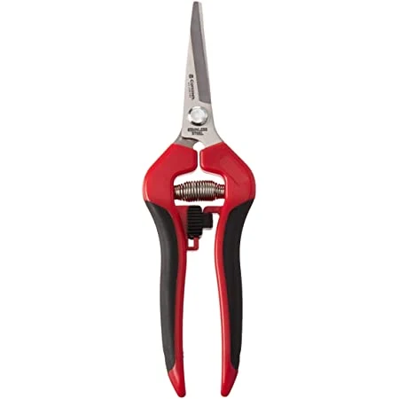 CNC houder Corona Curved Grape Snips - Corrosiebestendig Steel, 2 Inch - AG 4980SS