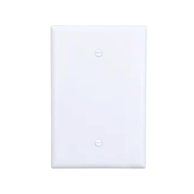 Eaton 1-Gang Sneeuwwit Thermoplastic Indoor Blank Wall Plate