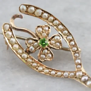 Antique Seed Pearl and Garnet Good Luck Pin gehard staal
