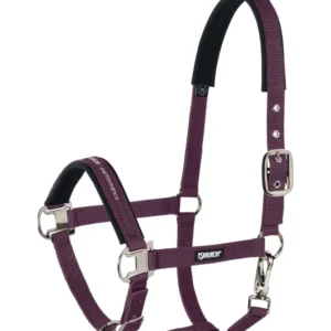 Halter Pin Buckle Blackberry P met borgring