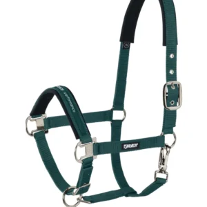 Halter Pin Buckle Racinggreen X-Full gehard staal