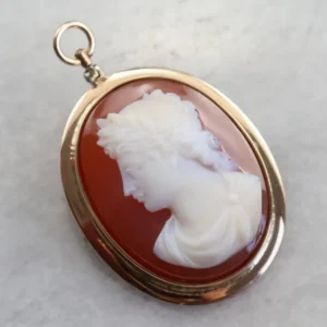 Mid Century Carnelian Stone Cameo Pin or Pendant voor machineonderdelen