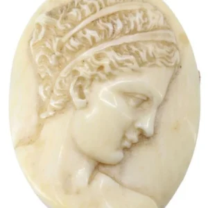 OLD IVORY BROOCH Set van verschillende maten