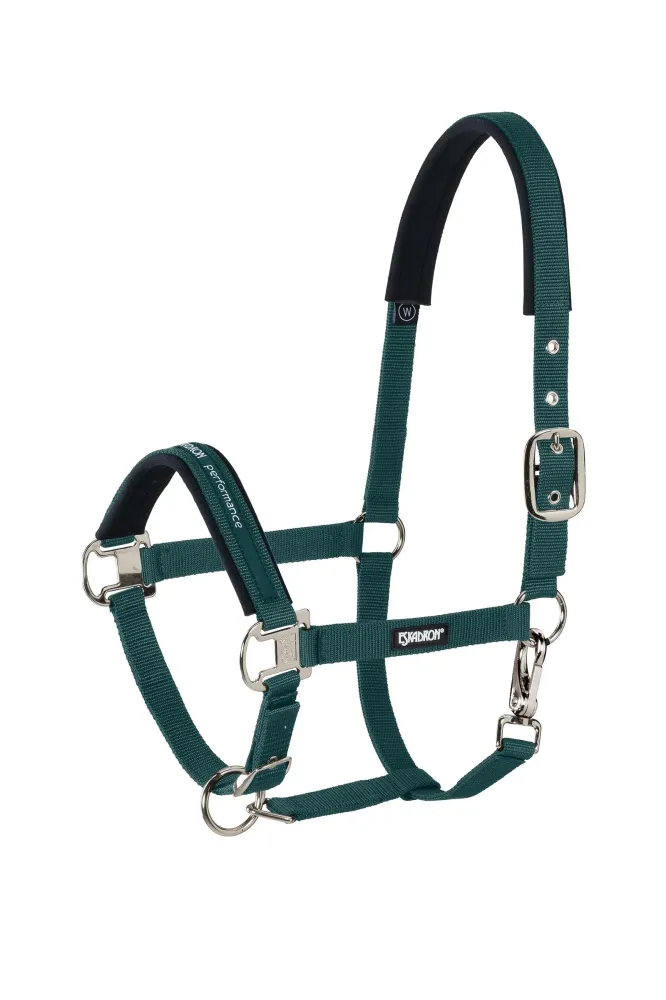 Precisie pen Halter Pin Buckle Racinggreen P