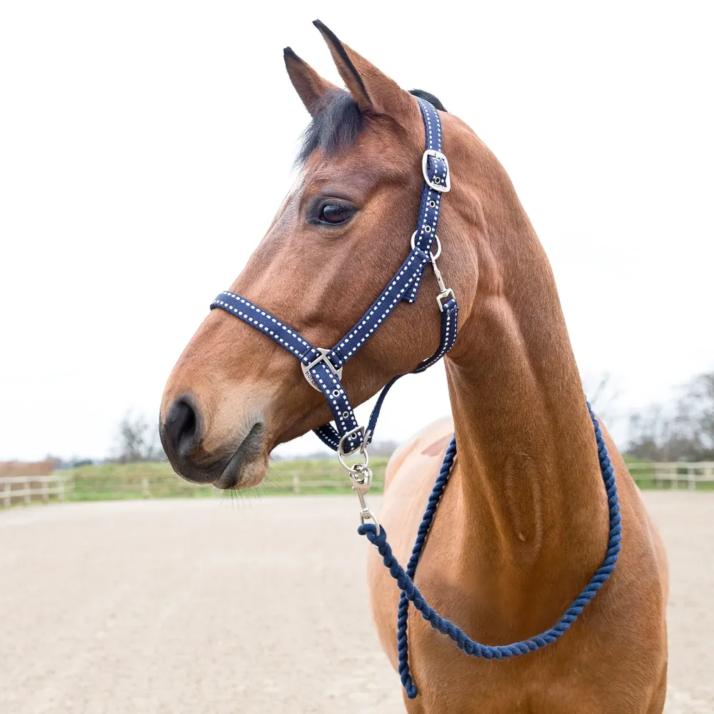 Cooper Halter and Lead Set Peacoat Dark Blauw X-Full