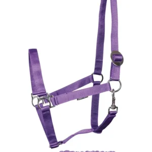 Headcollar-set initial Nostalgisch violet SHP