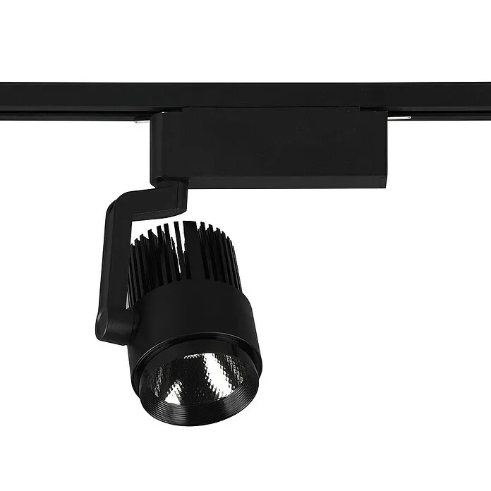 RoHS-gecertificeerde Trio Lighting Led-spot - 40 W, Zwart, 4,2 x 10 x 12 cm