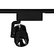 RoHS-gecertificeerde Trio Lighting Led-spot - 40 W, Zwart, 4,2 x 10 x 12 cm