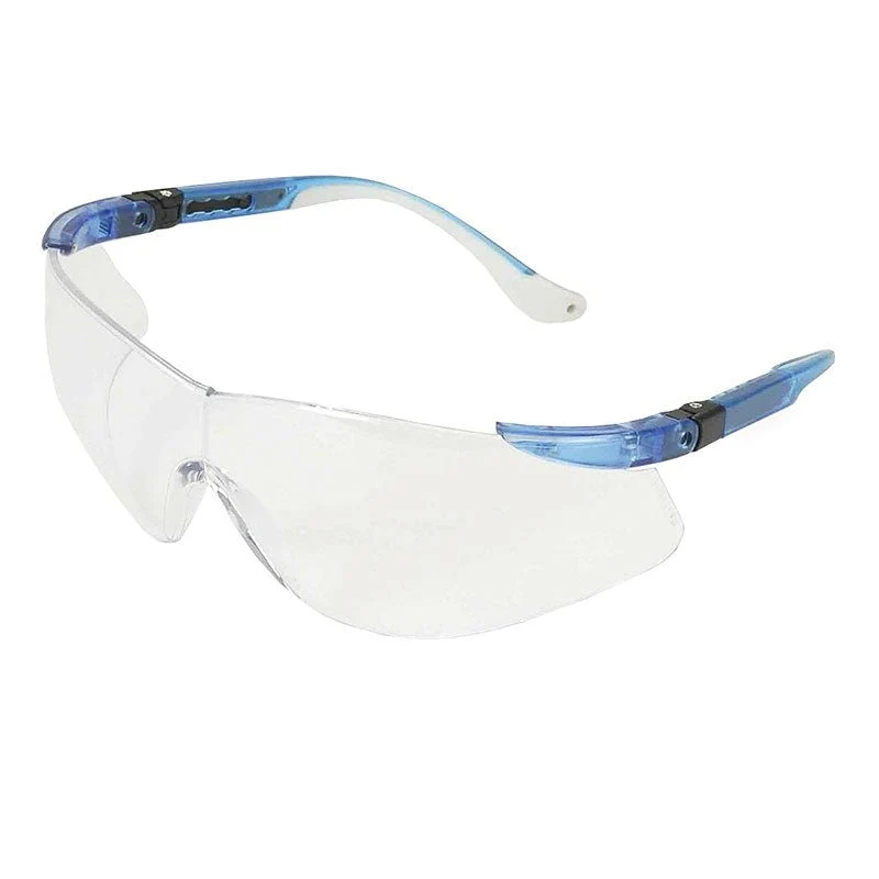 Classic Hager Werken protection glasses - anti -fog synthetic glass