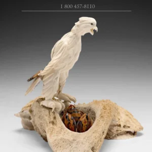 Overhead 8" Hawk Damien Iquallaq * Love That Will Not Fail*