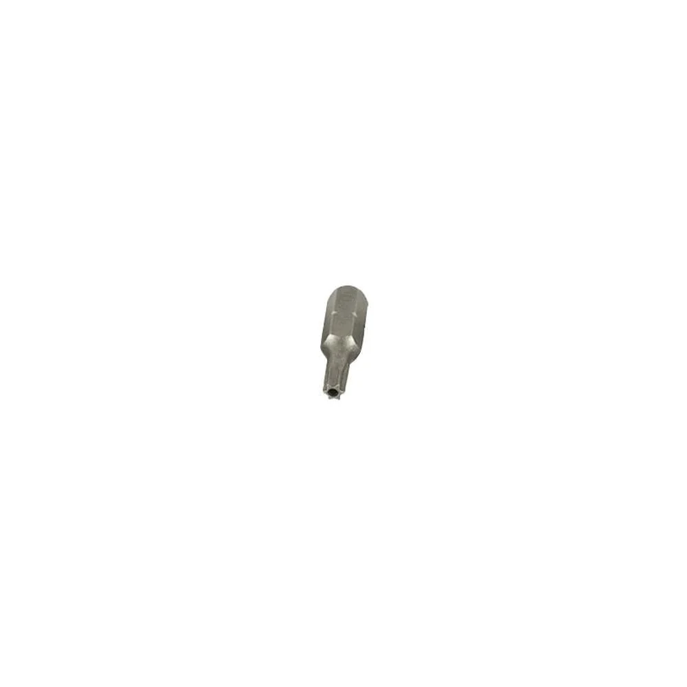 Tamper Torx Bits - 1'' Groot TH20