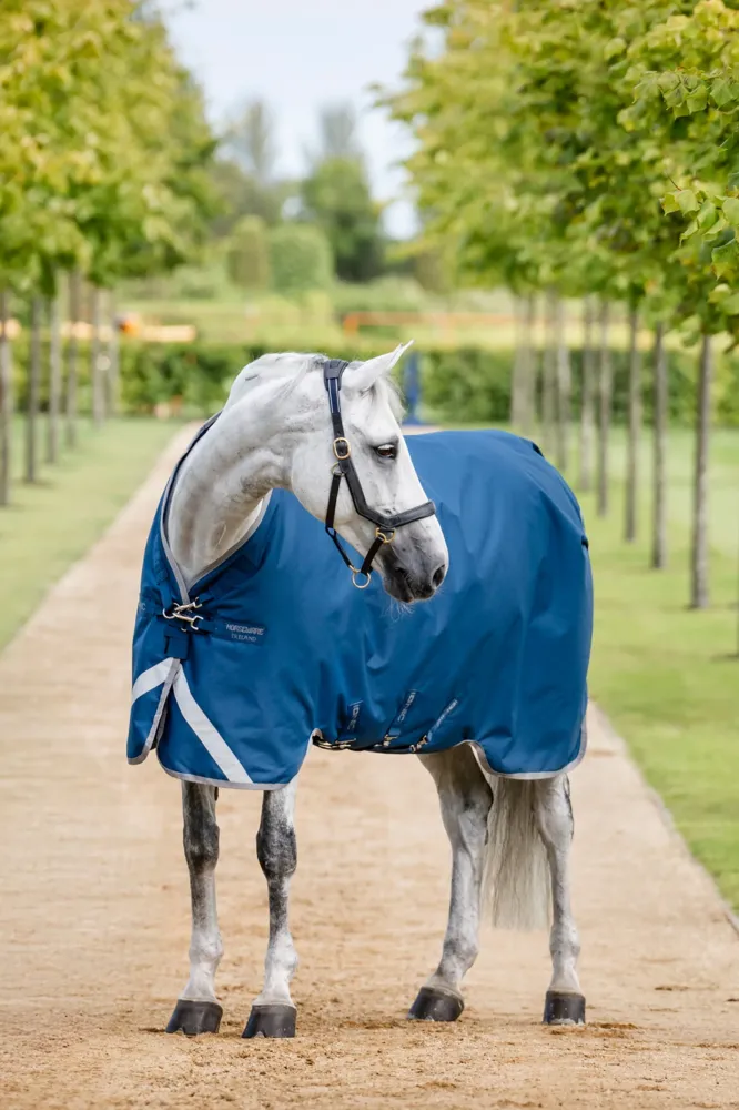 Ionic Therapy Turnout Rug, 100g Imperial Blue/Silver & Zeeblauw 125