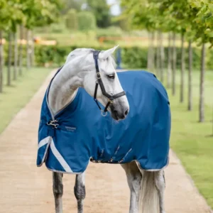 Veiligheidsmagneet Ionic Therapy Turnout Rug, 100g Imperial Blue/Silver & Zeeblauw 130