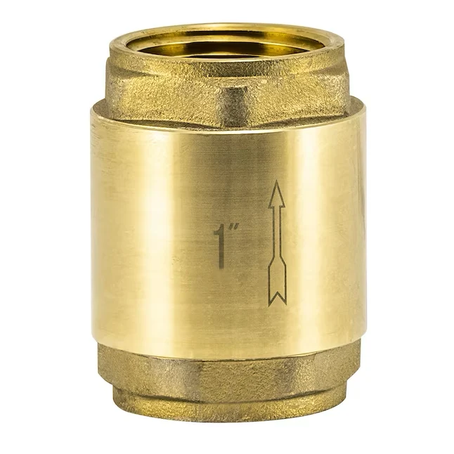 EZ-FLO Brass 1- Ijzer Pipe Size -line Check Valve met automatische reiniging
