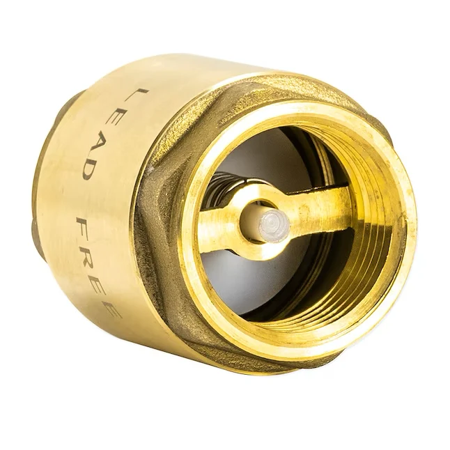 EZ-FLO Brass 1- Ijzer Pipe Size -line Check Valve met automatische reiniging