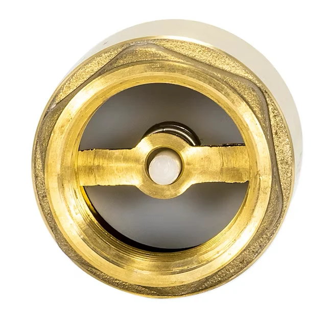 EZ-FLO Brass 1- Ijzer Pipe Size -line Check Valve met automatische reiniging
