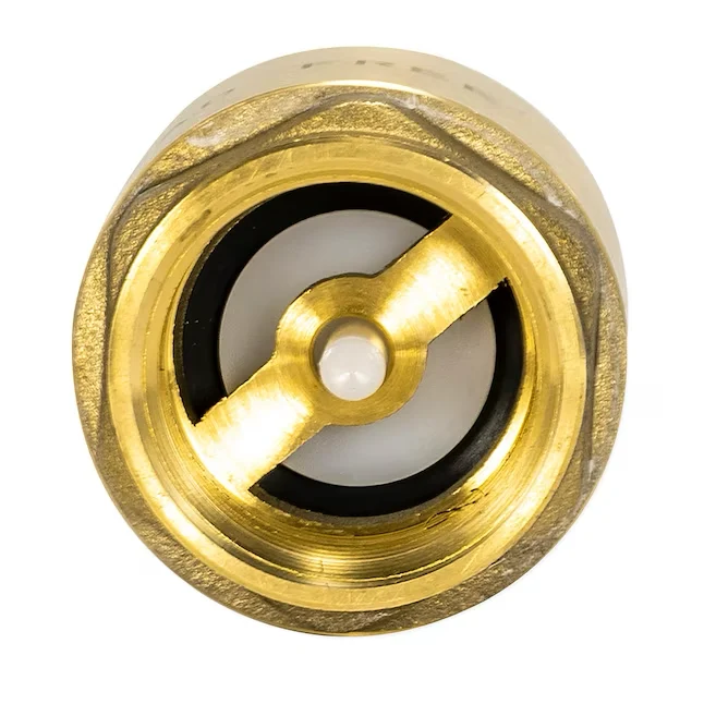 EZ-FLO Brass 1- Ijzer Pipe Size -line Check Valve met automatische reiniging