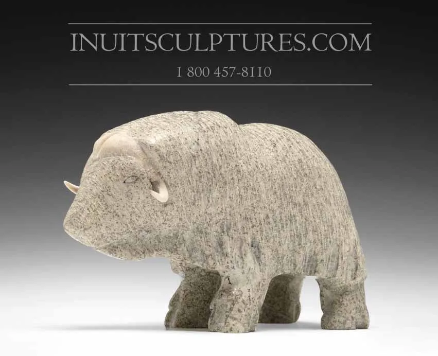 7" Muskox Mathew Tikivik